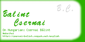 balint csernai business card